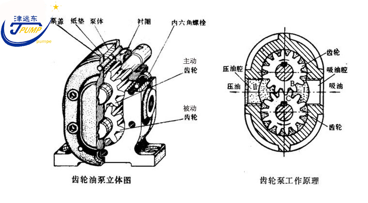 2CG硬齒面渣油泵剖析圖